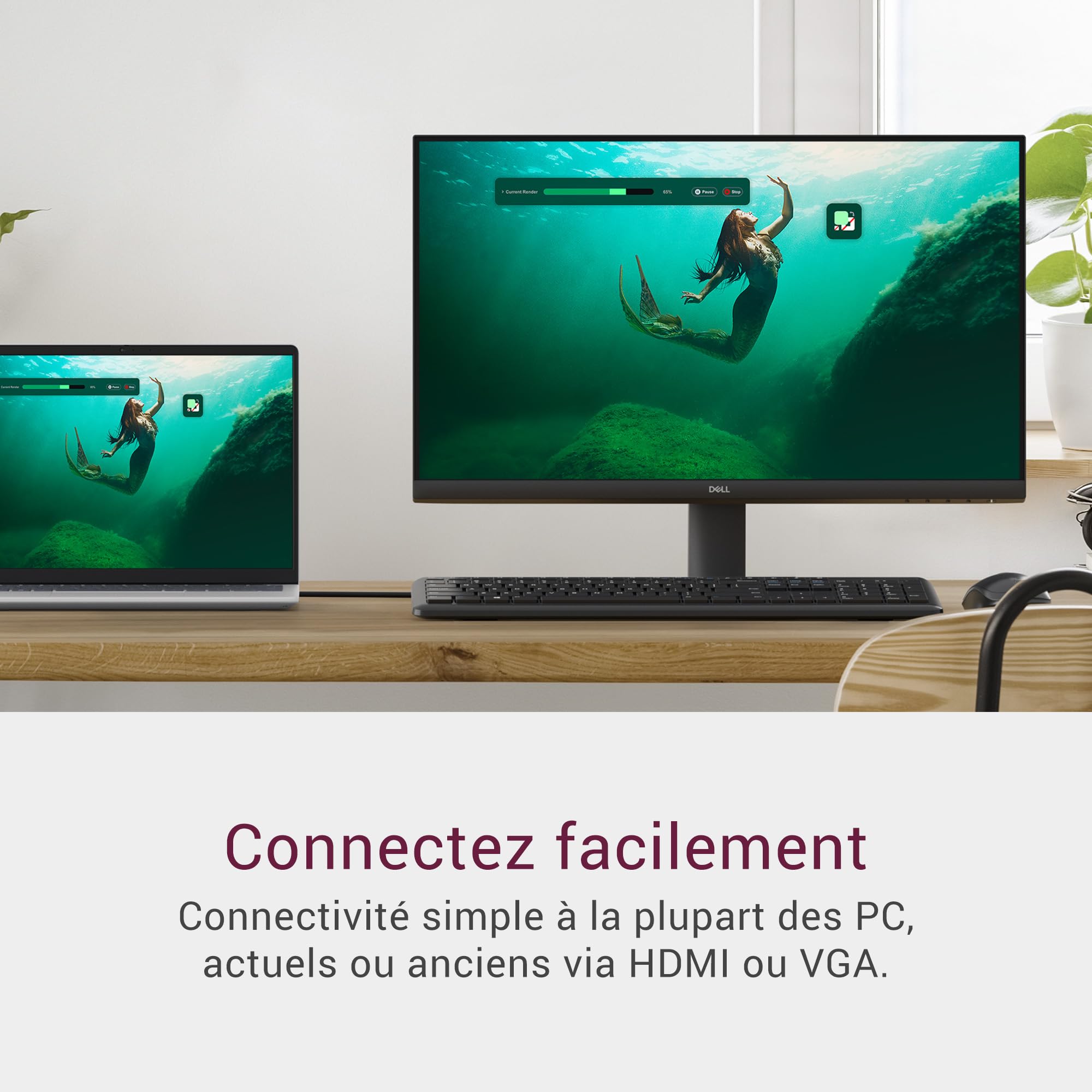 dell-24-se2425hm-moniteur-pc-23-8-full-hd-100hz-dalle-ips-comfortview-plus-t-v-h image 2