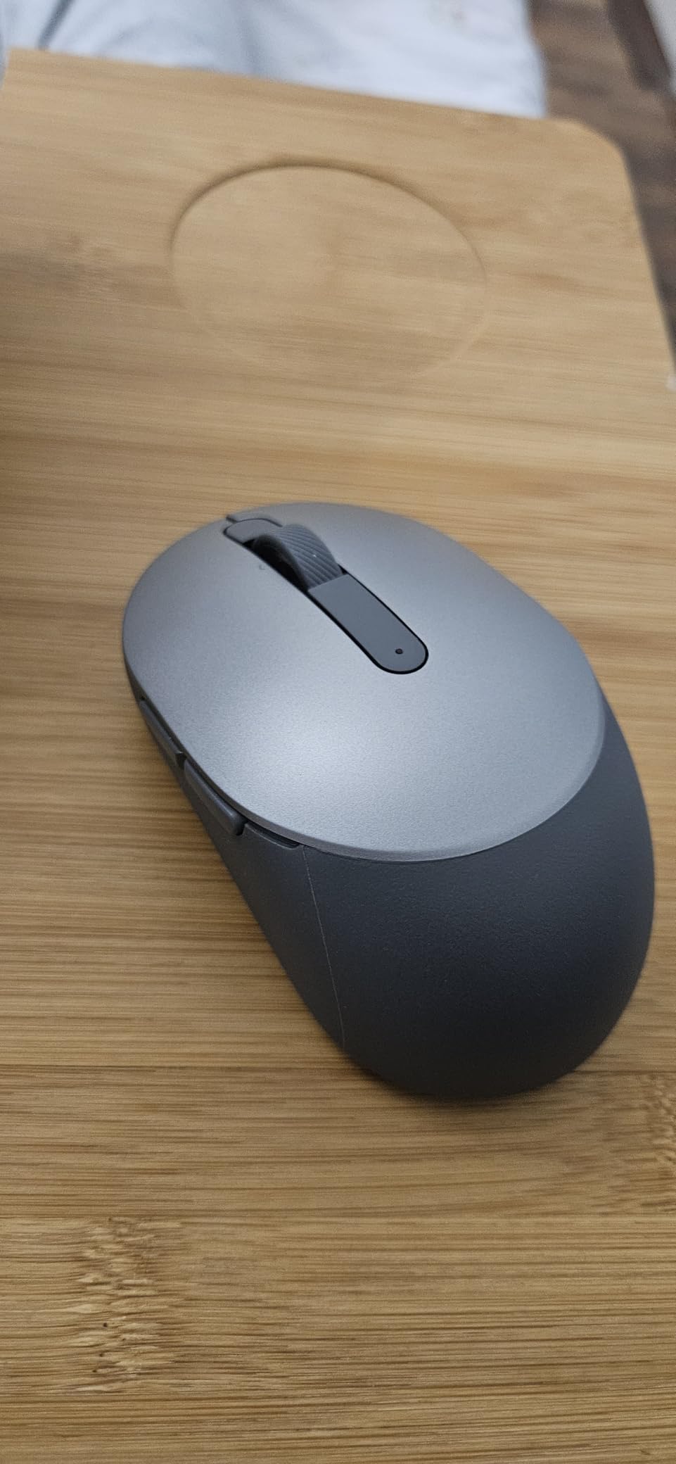 Excellente souris polyvalente