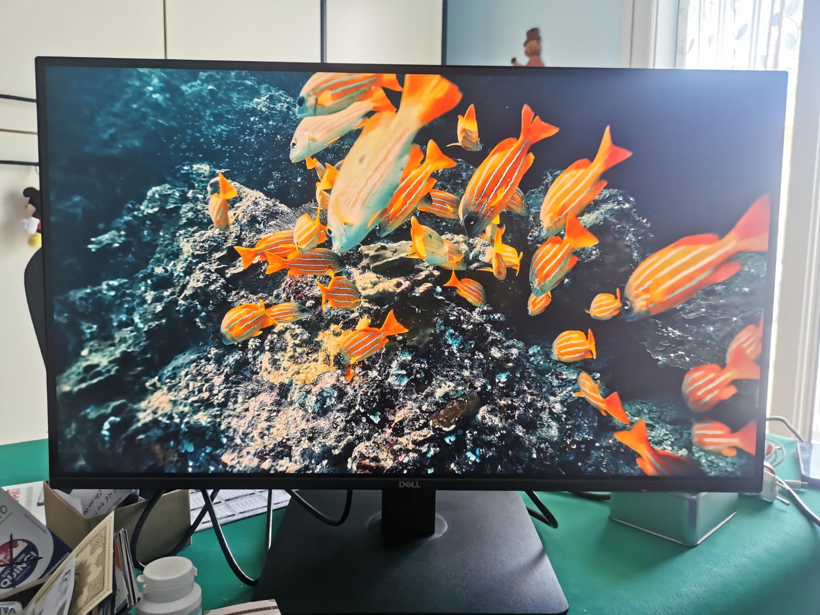 Très bon moniteur polyvalent