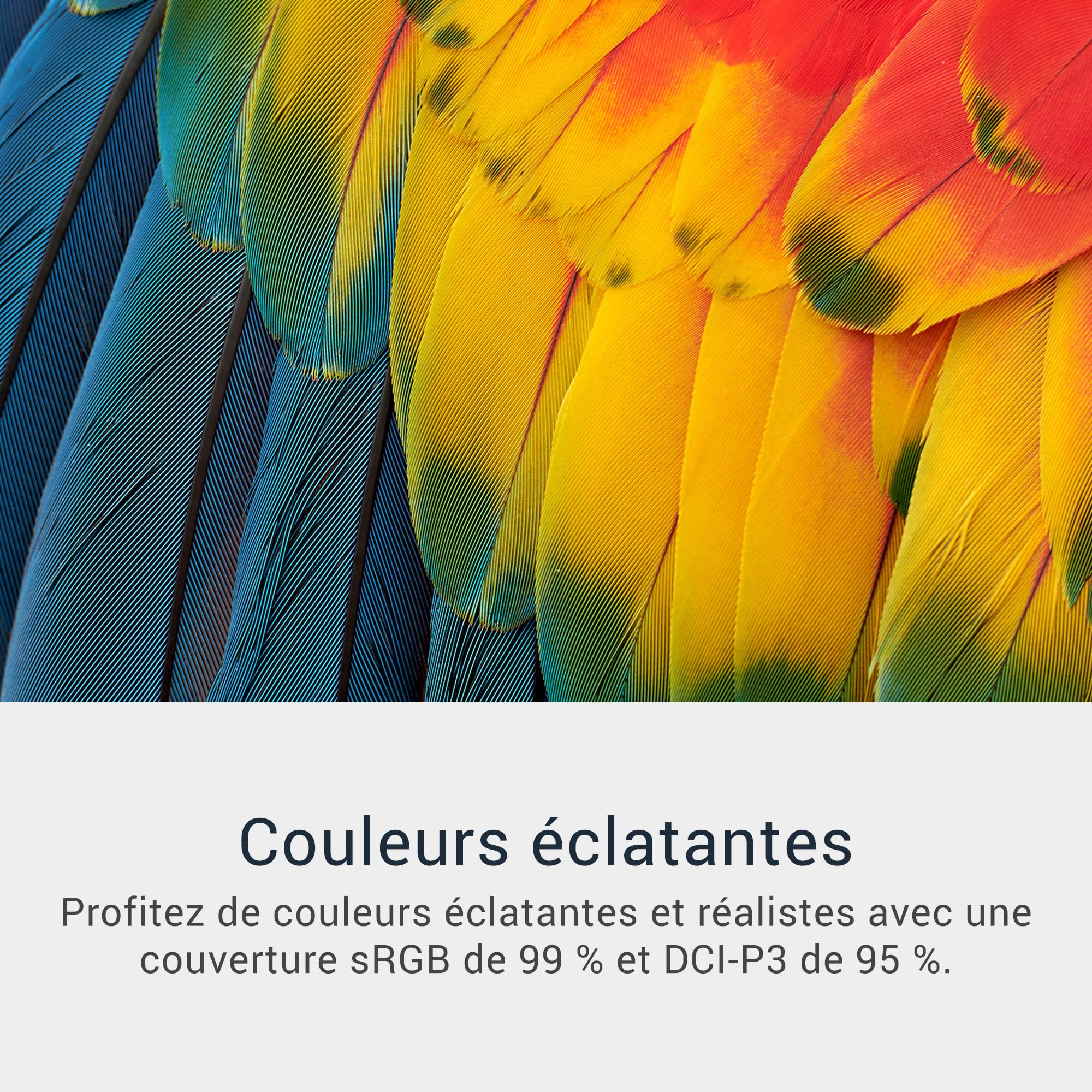 dell-34-plus-s3425dw-moniteur-incurv-34-wqhd-3440x1440-120-hz-usb-c-65-w-avec-ha image 5